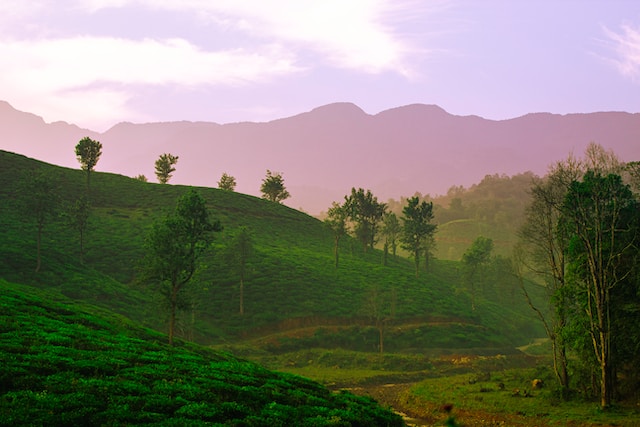 Karnataka